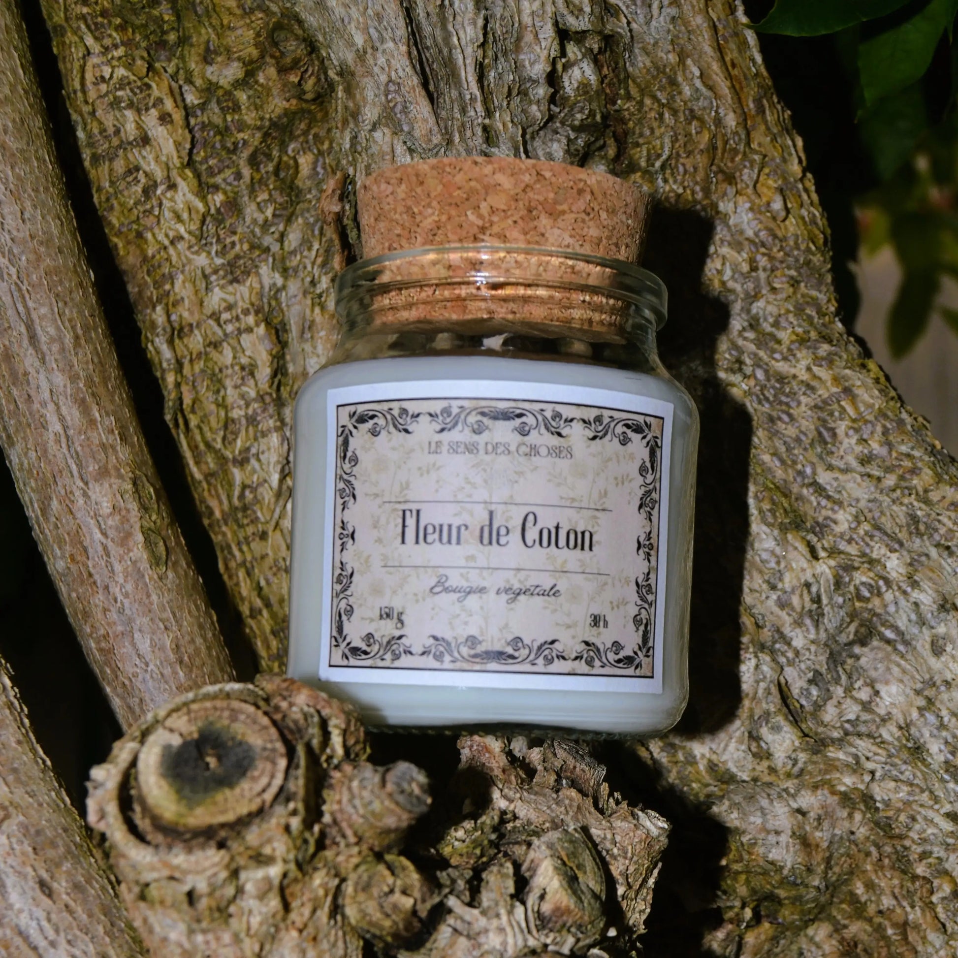 Image de bougie parfumée à la fleur de coton | Le sens des choses, boutique en ligne de produits artisanaux, naturels et écoresponsables, fabriqués en France ou en Europe : savons artisanaux, bougies parfumées, accessoires zéro déchet.