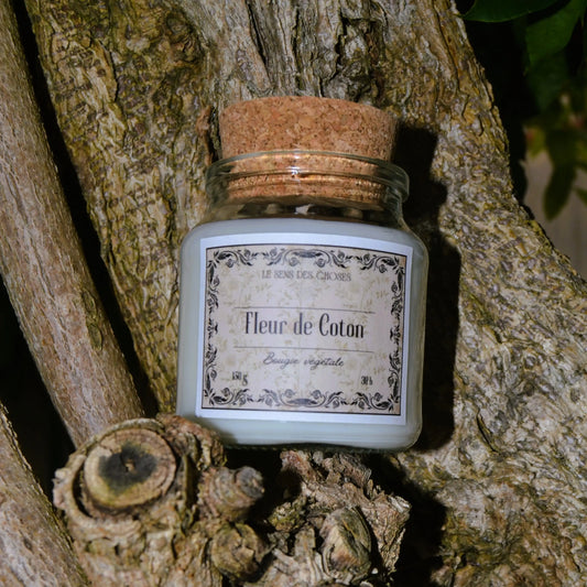 Image de bougie parfumée à la fleur de coton | Le sens des choses, boutique en ligne de produits artisanaux, naturels et écoresponsables, fabriqués en France ou en Europe : savons artisanaux, bougies parfumées, accessoires zéro déchet.