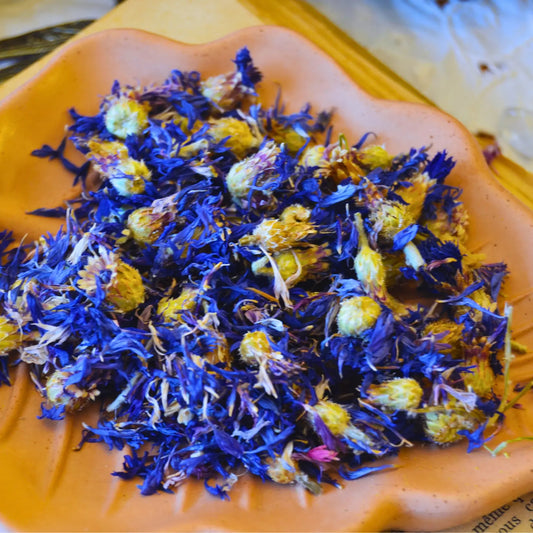 Fleurs de bleuet séchées (Centaurea Cyanus)