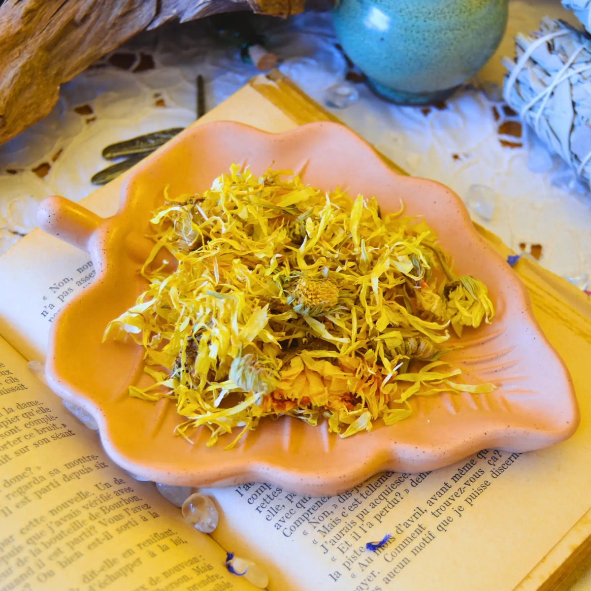 Fleurs de souci officinal séchées (Calendula Officinalis)