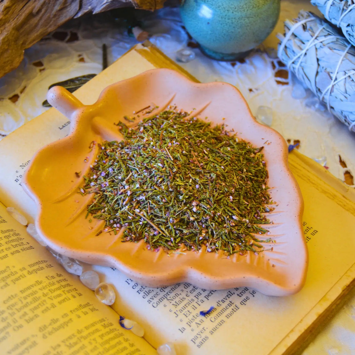 Fleurs et tiges de bruyère séchées (Calluna Vulgaris)