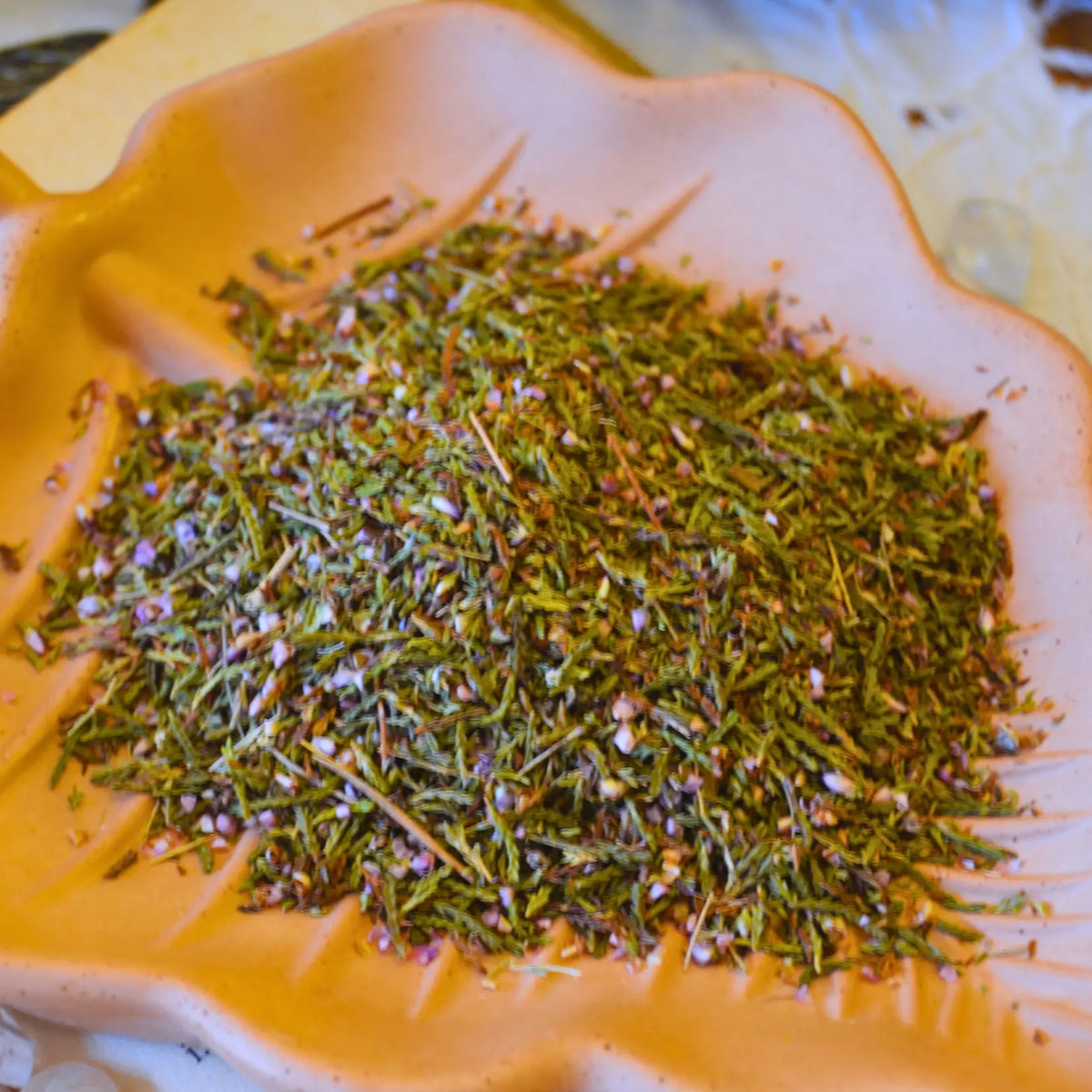 Fleurs et tiges de bruyère séchées (Calluna Vulgaris)