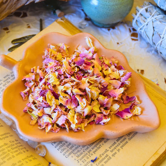 Pétales de rose de Damas séchés (Rosa Damascena)
