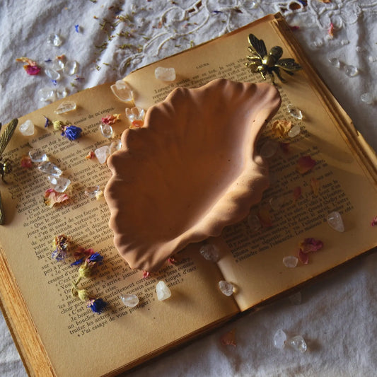 Calliope — Vide-poche coquillage en jesmonite – Création artisanale | Le sens des choses – Boutique de bougies parfumées végétales et objets décoratifs écoresponsables