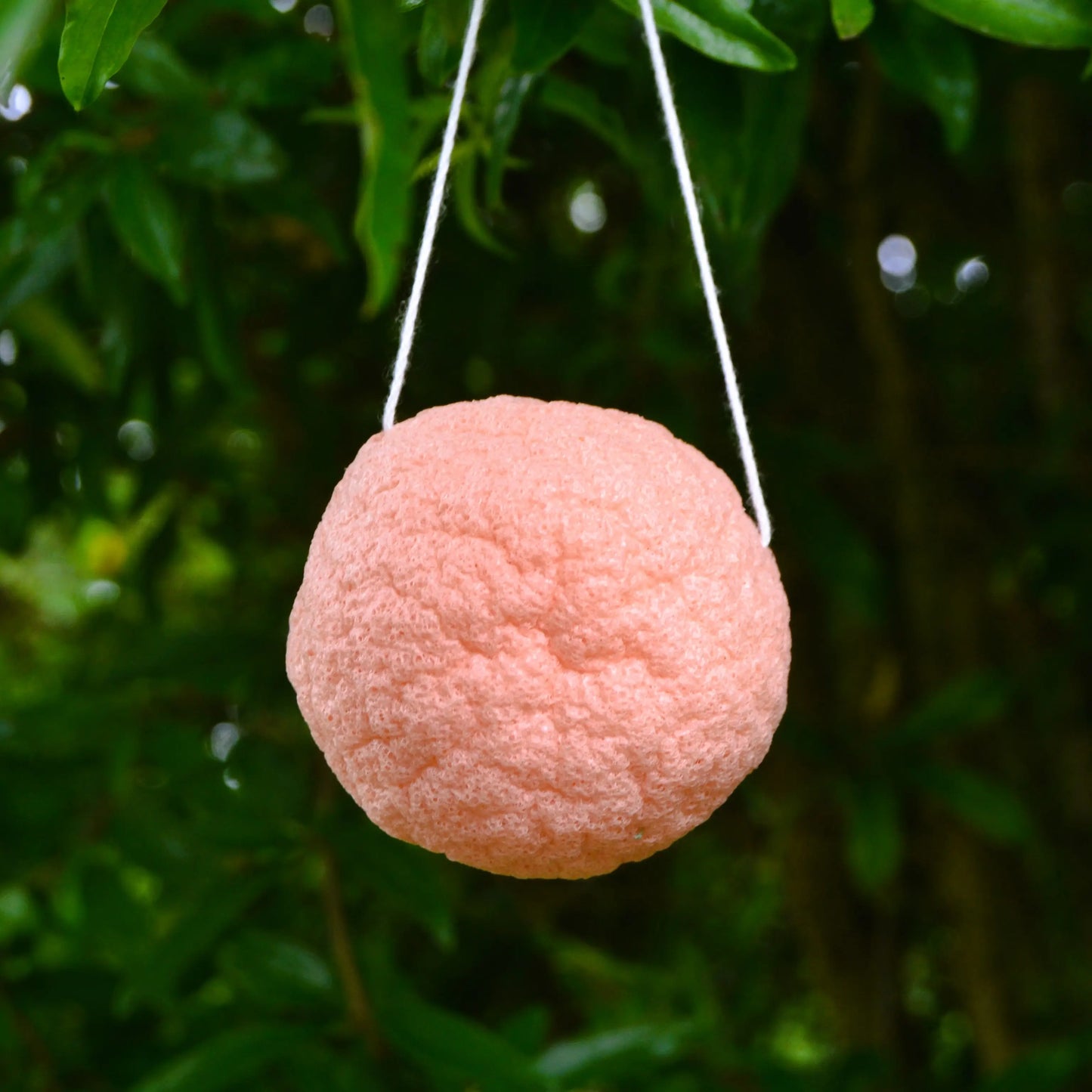 éponge konjac naturelle enrichie à l'argile rose