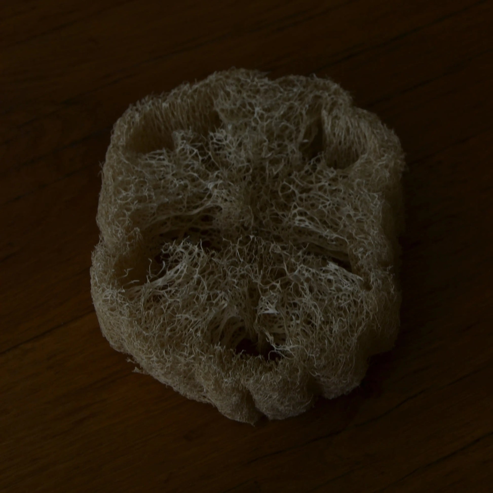 Image de Éponge loofah naturelle biodégradable | Le sens des choses – boutique artisanale de savons et bougies parfumées naturels fabriqués en France