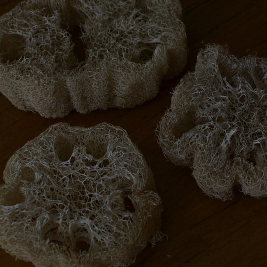 Image de éponge loofah naturelle biodégradable | Le sens des choses, boutique en ligne de produits artisanaux, naturels et écoresponsables, fabriqués en France ou en Europe : savons artisanaux, bougies parfumées, accessoires zéro déchet.