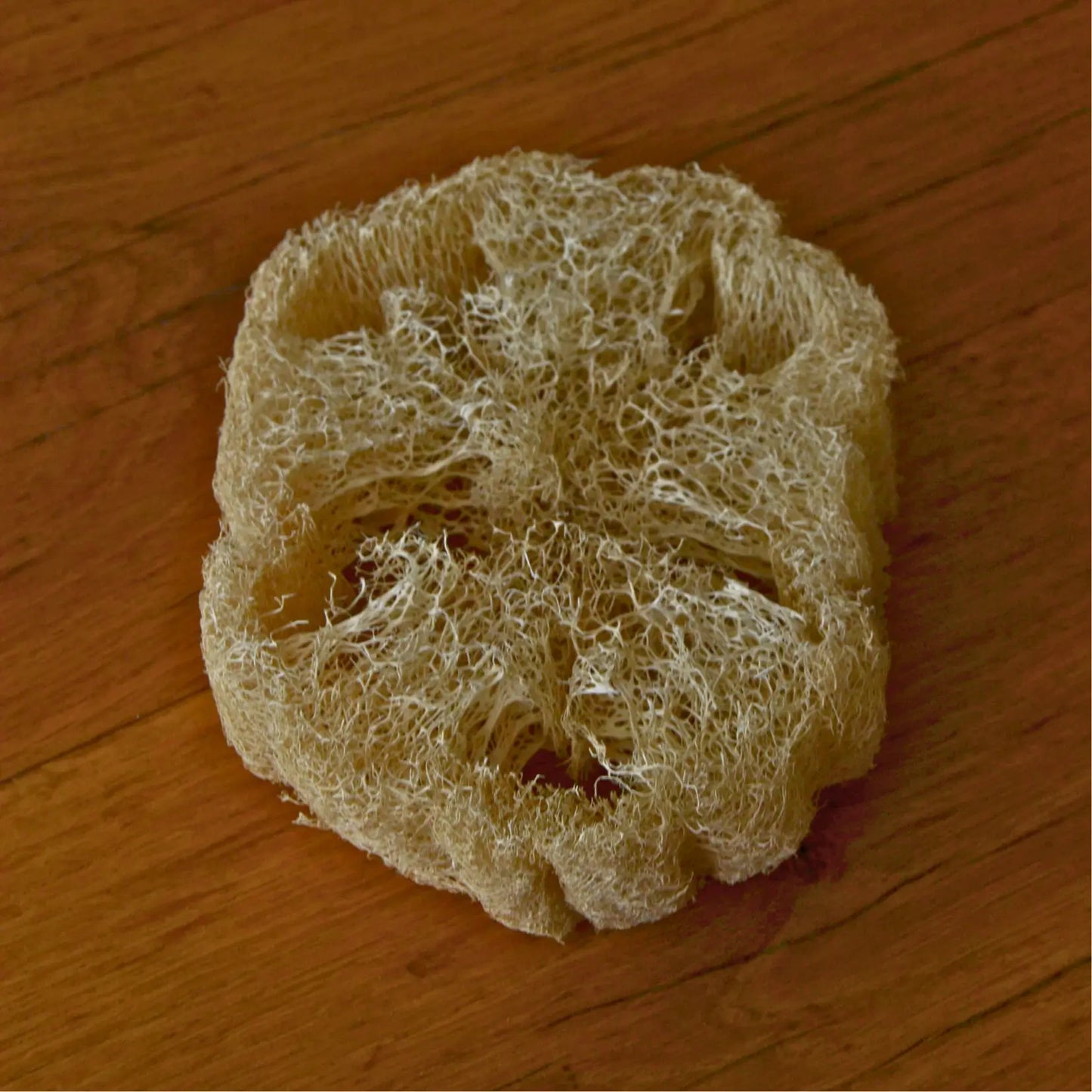Image de Éponge loofah naturelle biodégradable | Le sens des choses – boutique artisanale éthique de bougies parfumées et savons naturels fabriqués en France