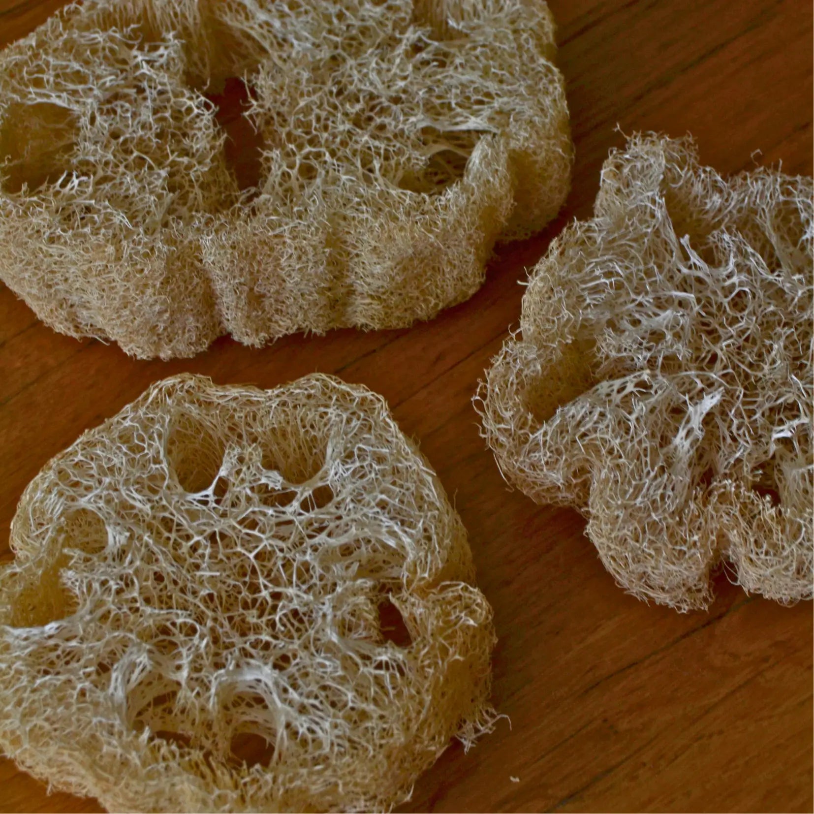 Image de Éponge loofah naturelle biodégradable | Le sens des choses – boutique artisanale éthique de bougies parfumées et savons naturels fabriqués en France