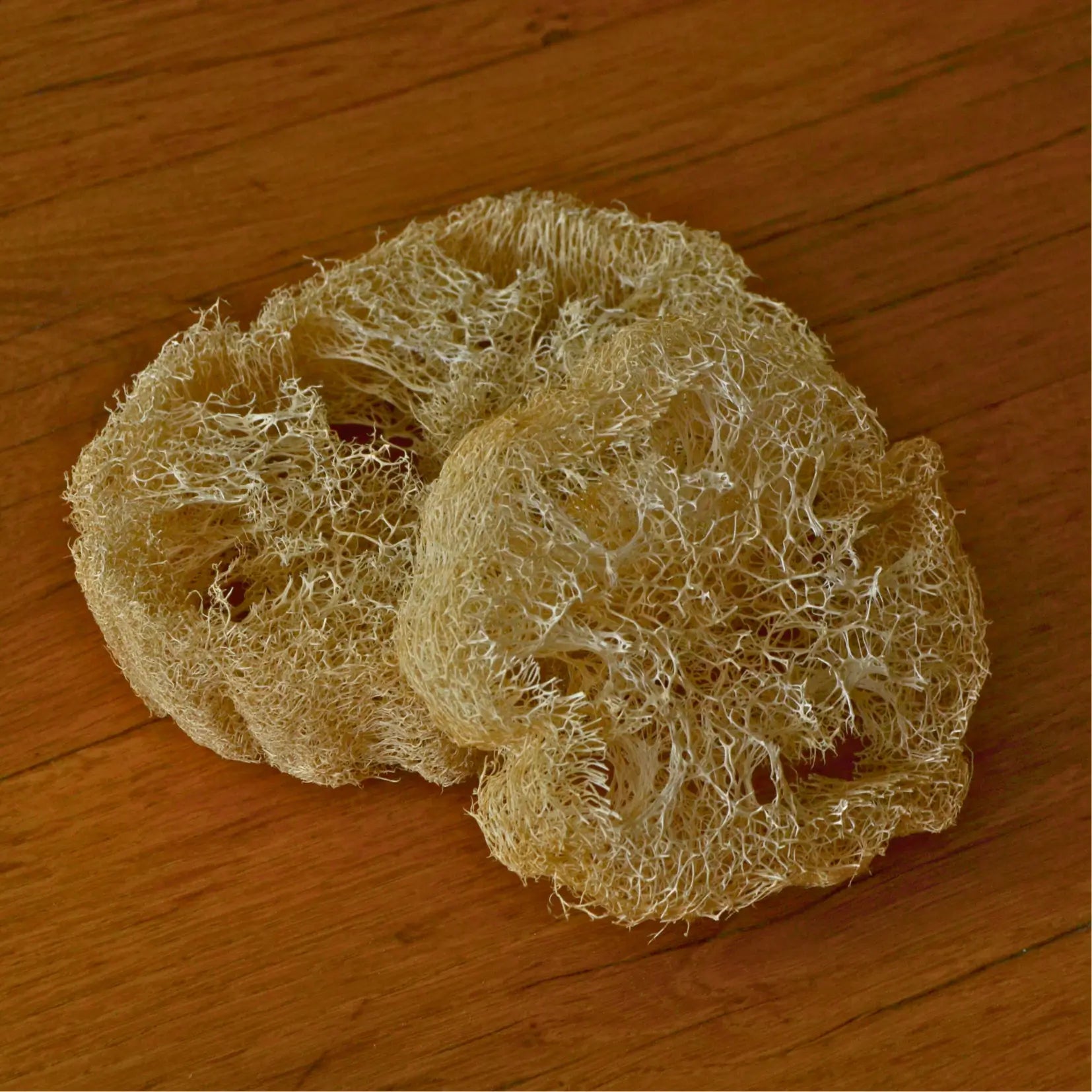 Image de Éponge loofah naturelle biodégradable | Le sens des choses – boutique artisanale éthique de bougies parfumées et savons naturels fabriqués en France
