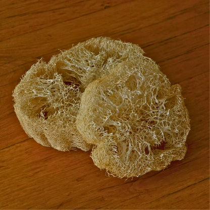 Image de Éponge loofah naturelle biodégradable | Le sens des choses – boutique artisanale éthique de bougies parfumées et savons naturels fabriqués en France