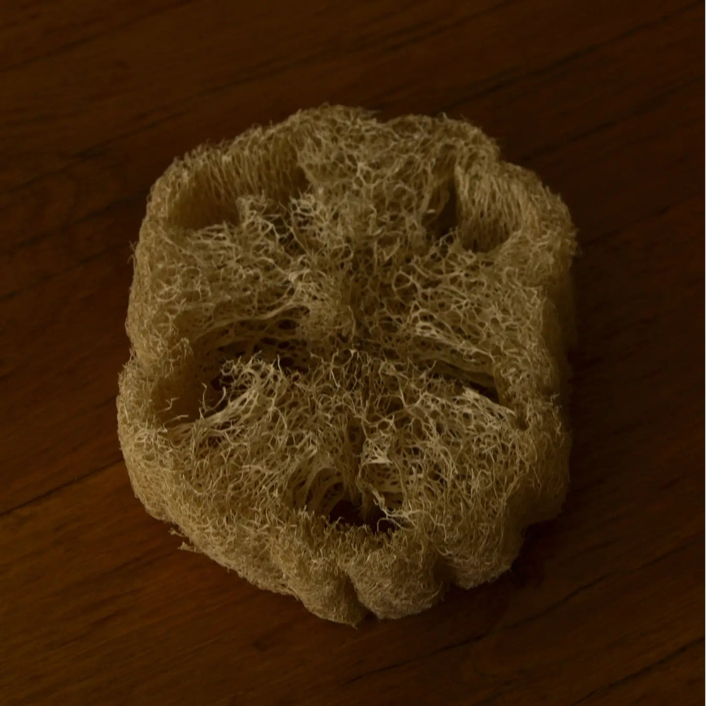 Éponge loofah naturelle biodégradable – Création artisanale | Le sens des choses – Boutique de bougies parfumées végétales, décorations et savons