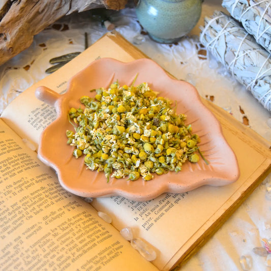 Fleurs de camomille séchées (Matricaria Recutita) – Création artisanale | Le sens des choses – Boutique de bougies parfumées végétales et objets décoratifs écoresponsables