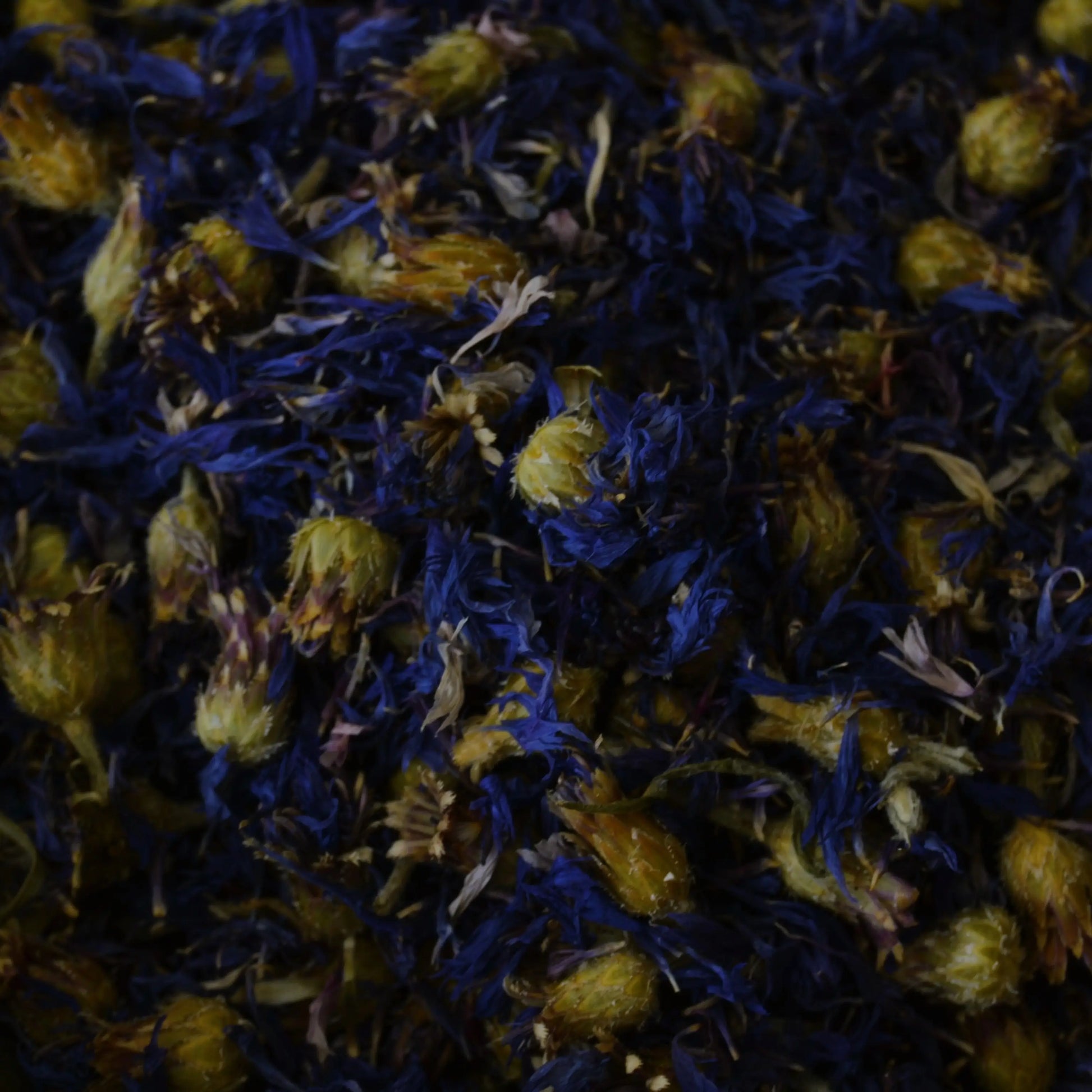 Image de Fleurs de bleuet séchées (Centaurea cyanus) | Le sens des choses, boutique en ligne de produits artisanaux, naturels et écoresponsables, fabriqués en France ou en Europe : savons artisanaux, bougies parfumées, accessoires zéro déchet.