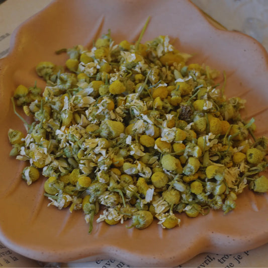 Fleurs de camomille séchées (Matricaria Recutita)