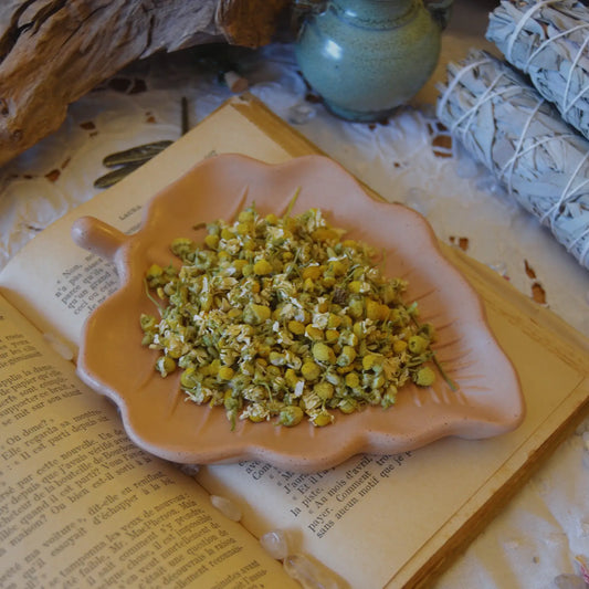 Fleurs de camomille séchées (Matricaria Recutita)