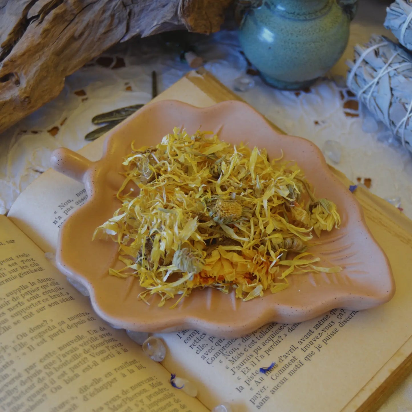 Fleurs de souci séchées (Calendula Officinalis) – Création artisanale | Le sens des choses – Boutique de bougies parfumées végétales, décorations et savons