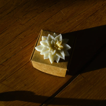 Image de Fondant parfumé à la fleur de coton — Poinsettia | Le sens des choses – boutique artisanale éthique de bougies parfumées et savons naturels fabriqués en France