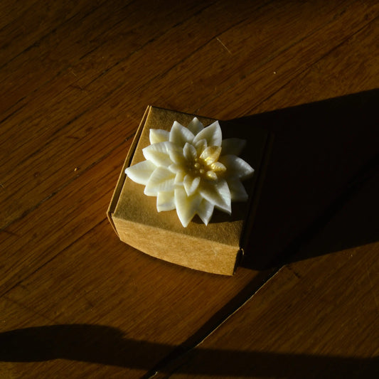 Image de Fondant parfumé à la fleur de coton — Poinsettia | Le sens des choses – boutique artisanale éthique de bougies parfumées et savons naturels fabriqués en France