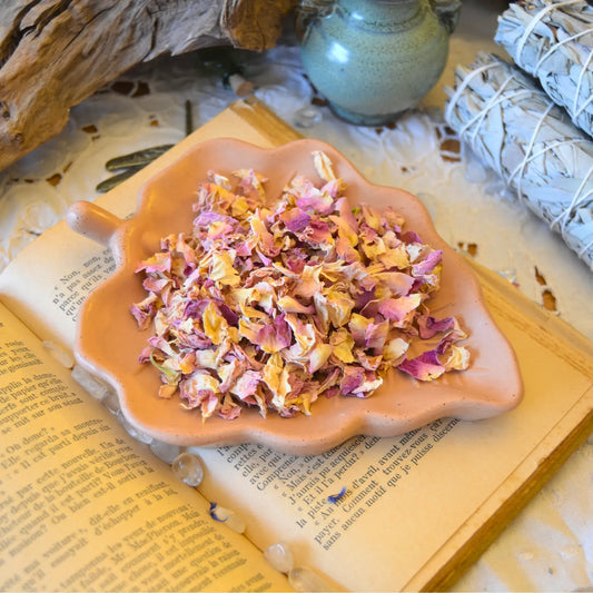 Pétales de rose de Damas séchés (Rosa Damascena) – Création artisanale | Le sens des choses – Boutique de bougies parfumées végétales et objets décoratifs écoresponsables