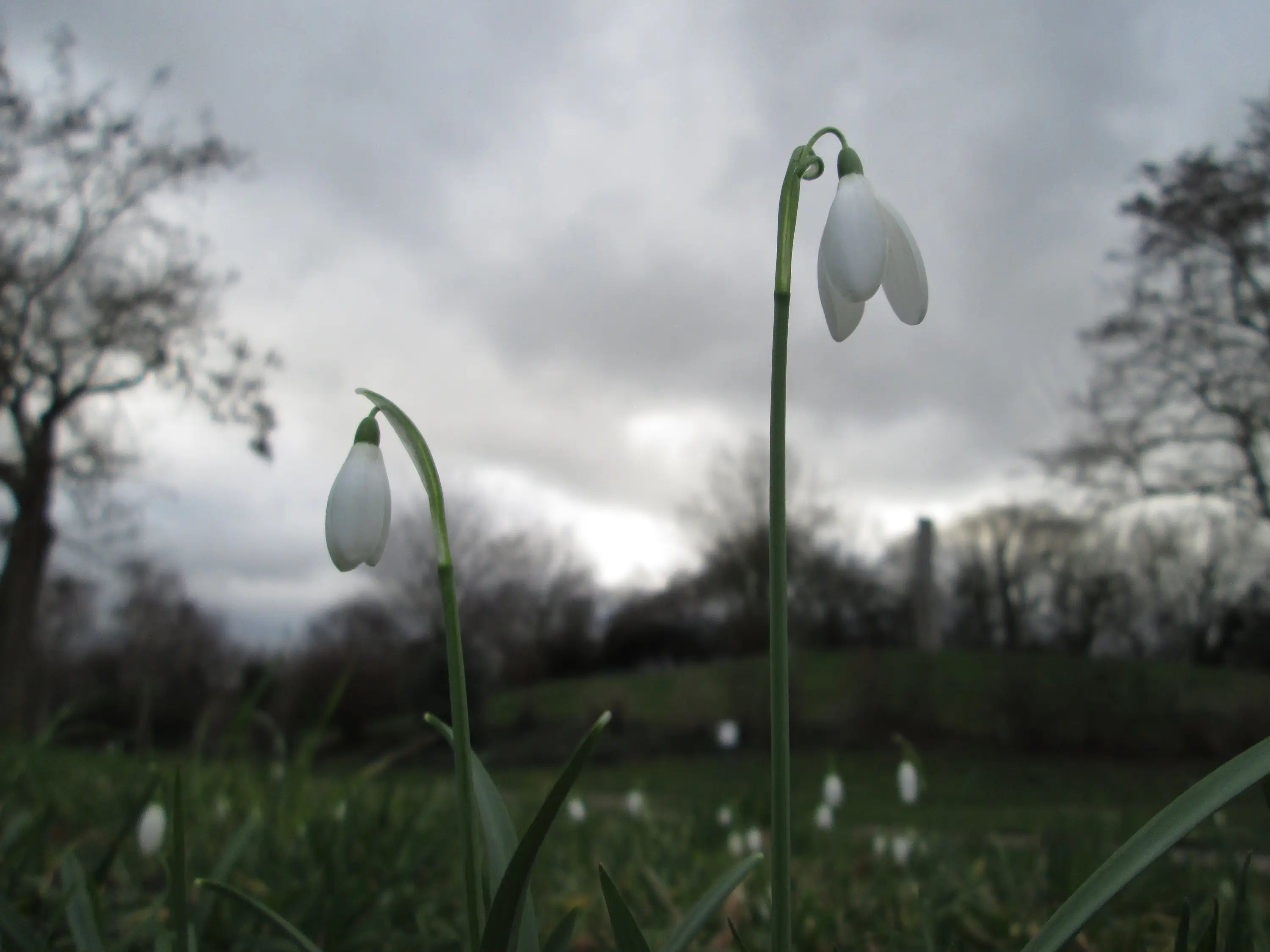 Le sens des choses – Bougies artisanales et créations en jesmonite fabriquées en Charente-Maritime, savons naturels, accessoires écoresponsables