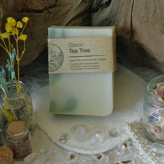 Savon artisanal surgras au tea tree (arbre à thé) – Création artisanale | Le sens des choses – Boutique de bougies parfumées végétales, décorations et savons