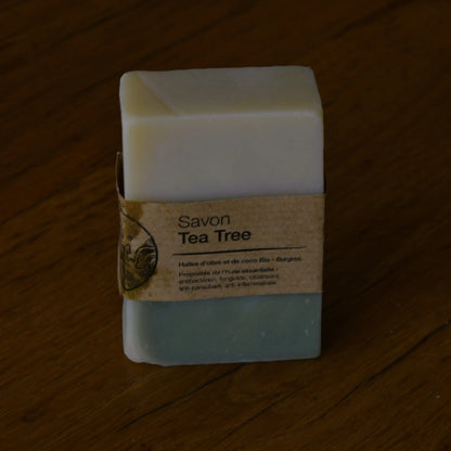 Image de savon au tea tree (arbre à thé) | Le sens des choses, boutique en ligne de produits artisanaux, naturels et écoresponsables, fabriqués en France ou en Europe : savons artisanaux, bougies parfumées, accessoires zéro déchet.